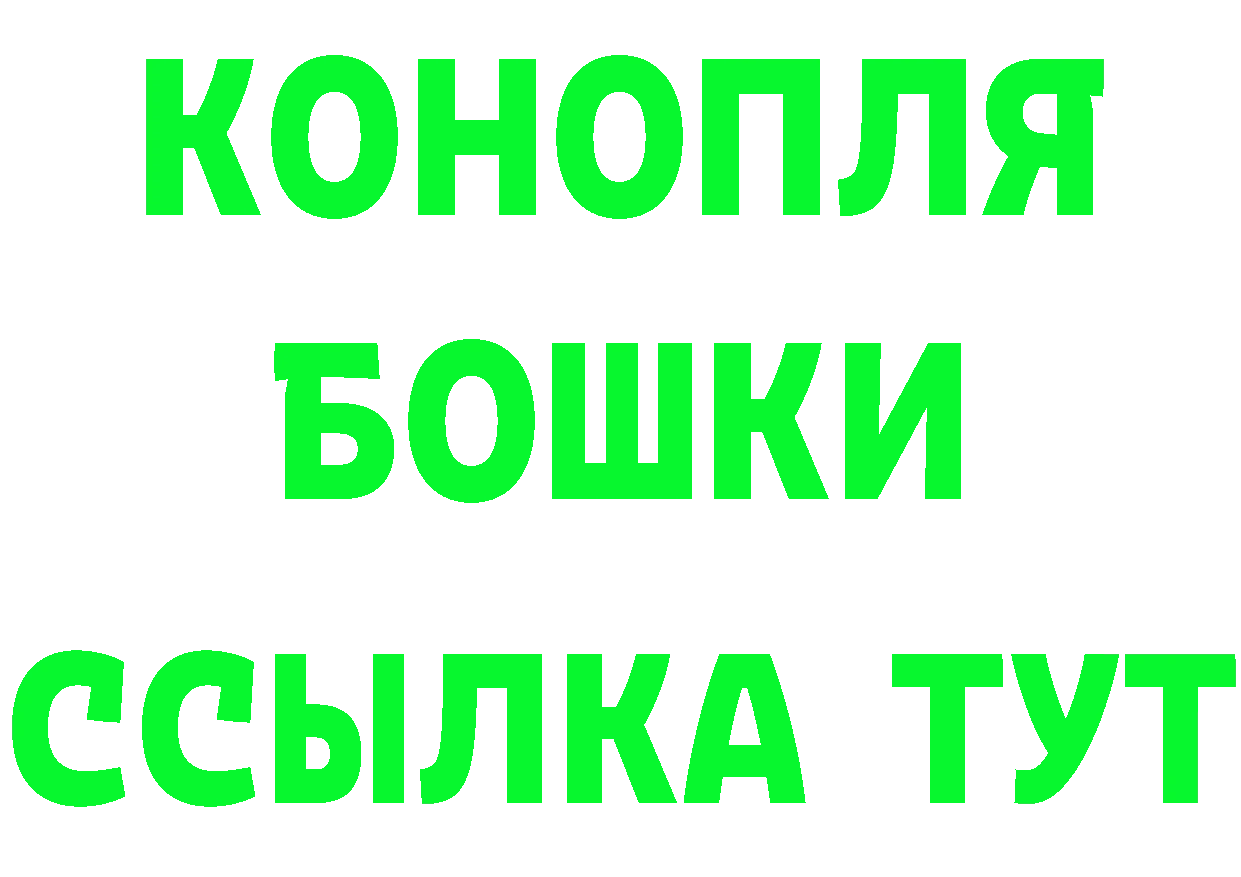 ГАШ Premium как войти это блэк спрут Мичуринск